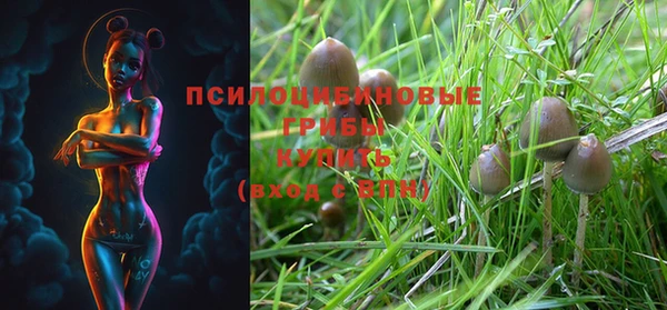 прущая мука Магас