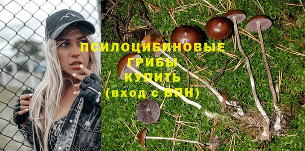 МДПВ Рославль