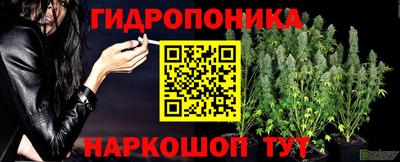 таблы Канаш