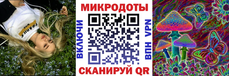 Псилоцибиновые грибы прущие грибы  купить закладку  Сосновоборск 