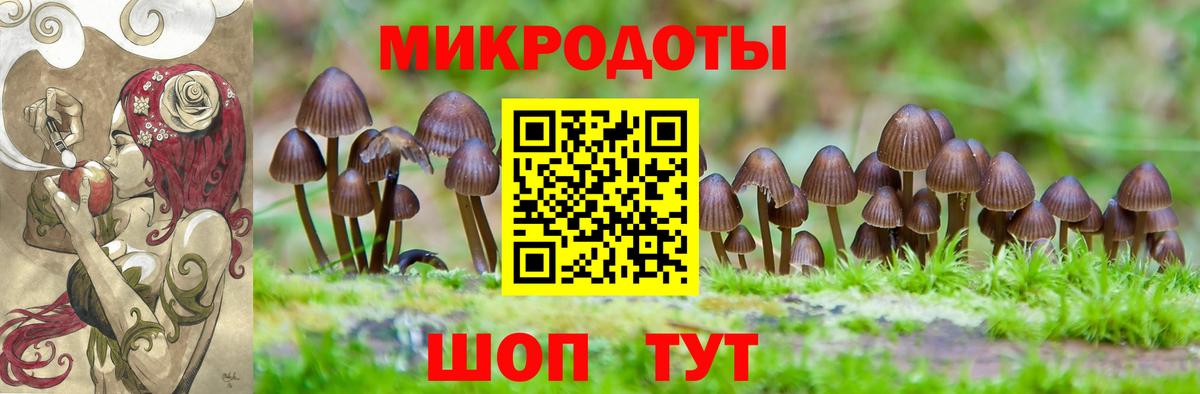 Галлюциногенные грибы Cubensis Сосновоборск