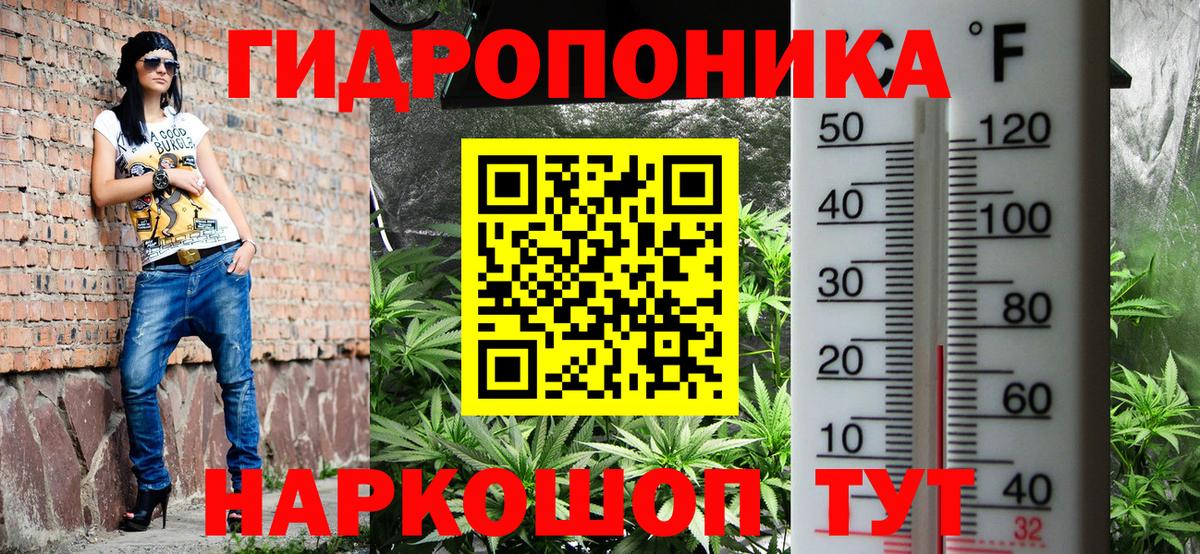 Конопля Bruce Banner  Канабис VHQ  Сосновоборск  Бошки Шишки LSD WEED 